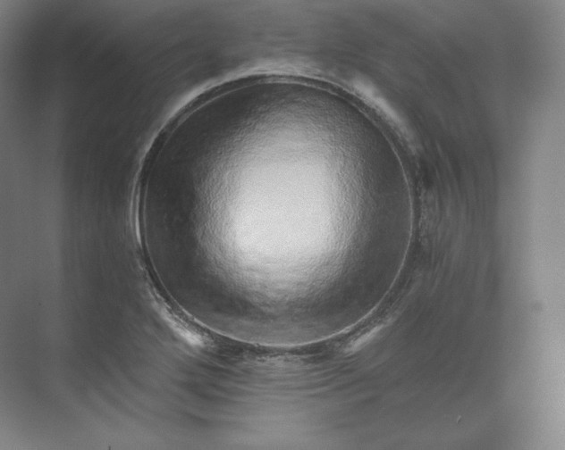 X0000074001272200609061014