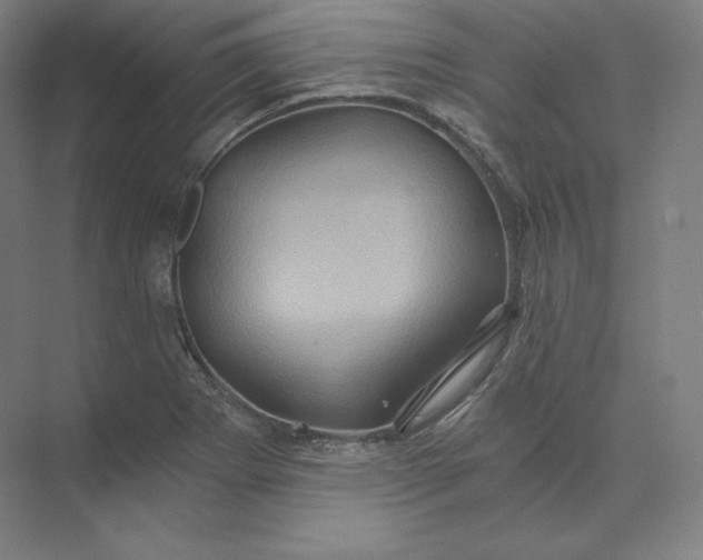 X0000074001273200609061014