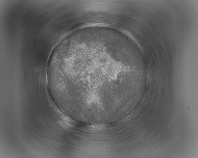 X0000074001274200609061014