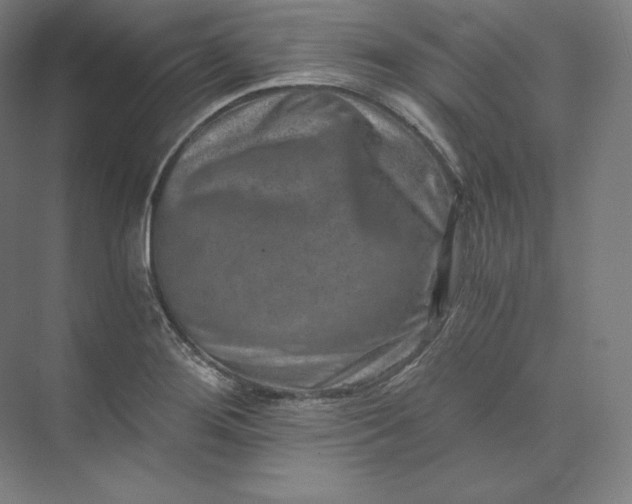 X0000074001276200609061014