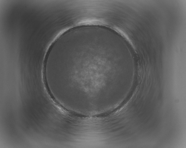 X0000074001277200609061014