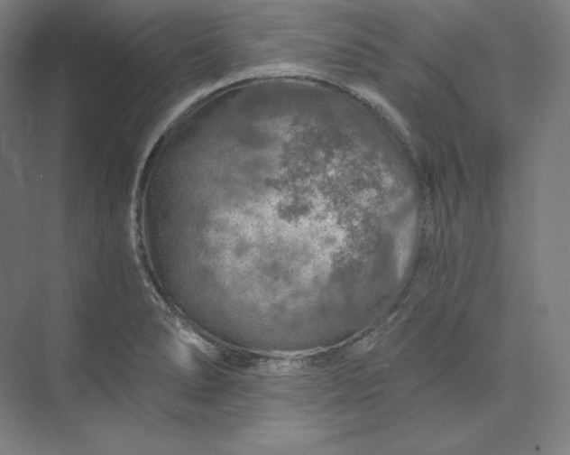 X0000074001278200609061014