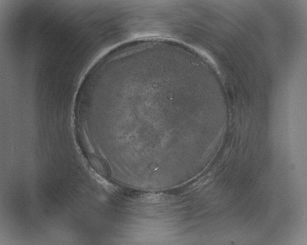 X0000074001279200609061014