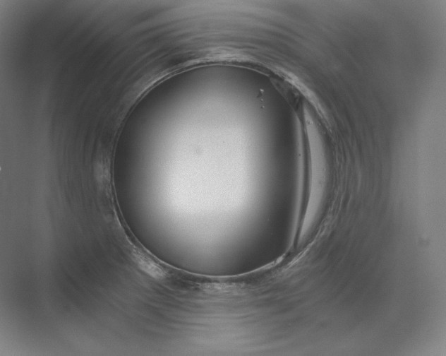 X0000074001281200609061014