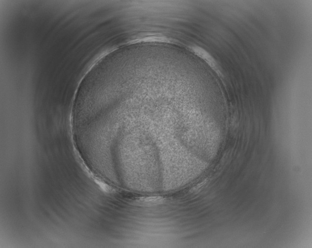 X0000074001282200609061014