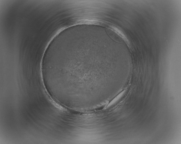 X0000074001283200609061014