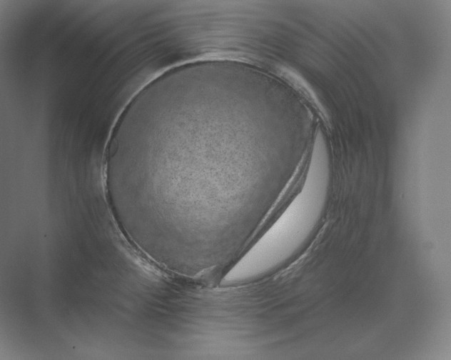 X0000074001284200609061014