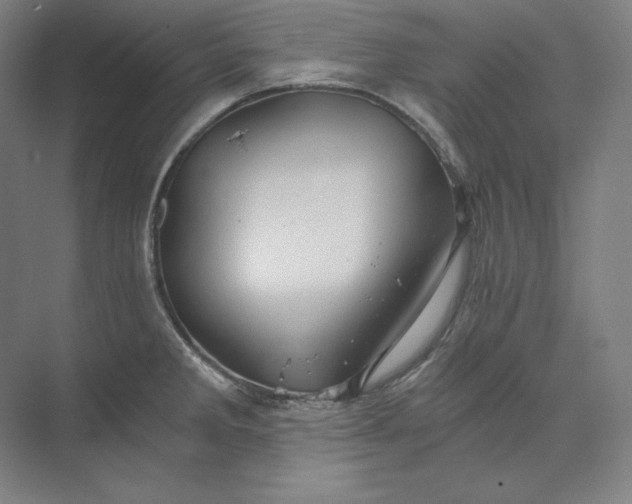 X0000074001285200609061014