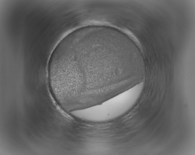 X0000074001287200609061014