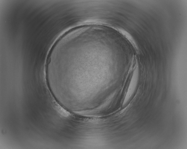 X0000074001288200609061014