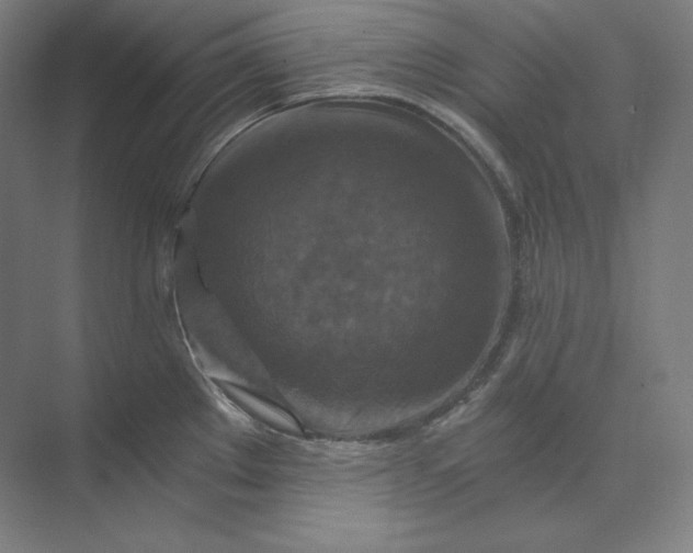 X0000074001289200609061014