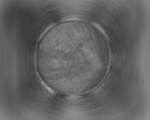 X0000074001290200609061014