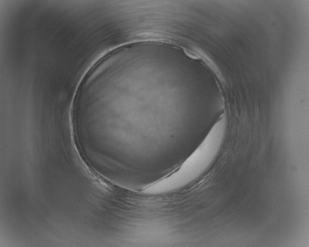 X0000074001291200609061014