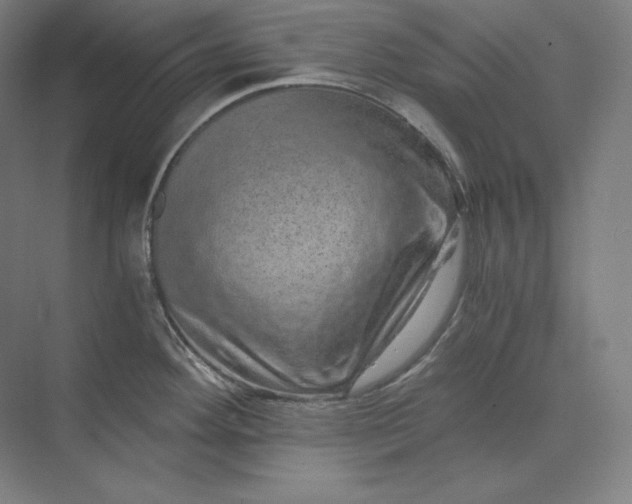 X0000074001292200609061014