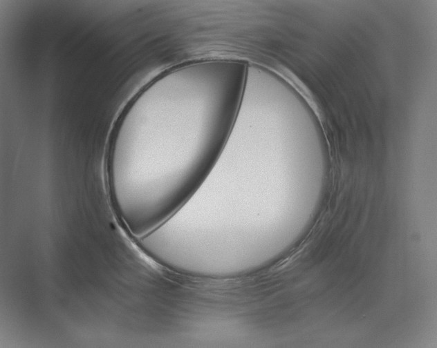 X0000074001293200609061014