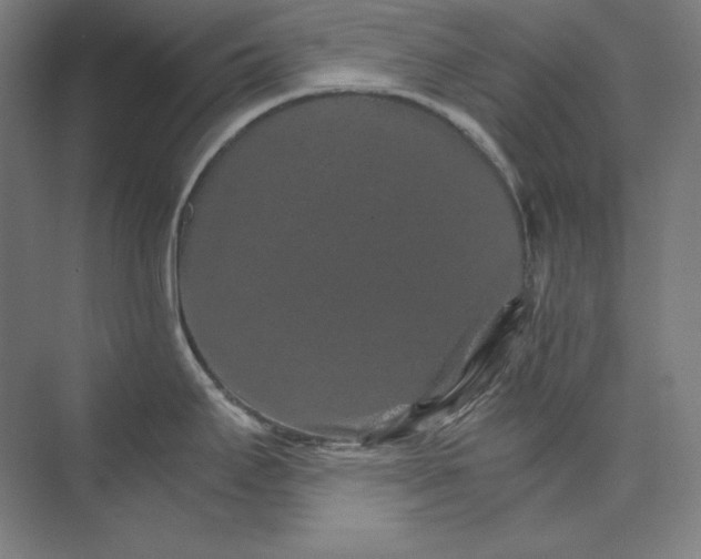 X0000074001295200609061014