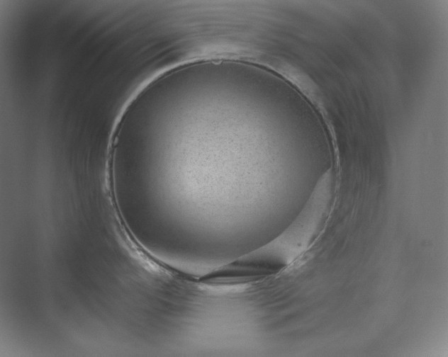 X0000074001296200609061014