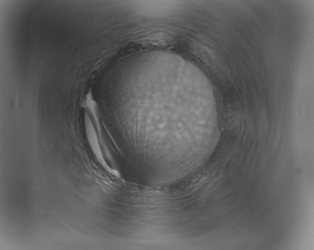 X0000074001297200609061013