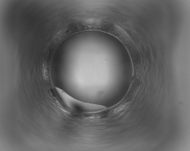 X0000074001298200609061013