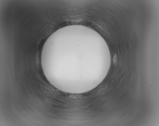 X0000074001299200609061013