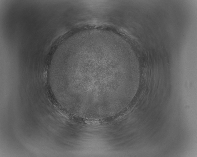 X0000074001302200609061013