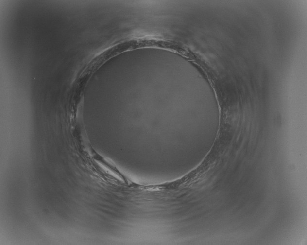 X0000074001303200609061013