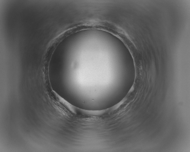 X0000074001304200609061013