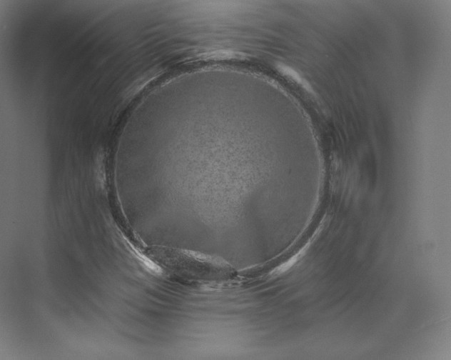 X0000074001305200609061013