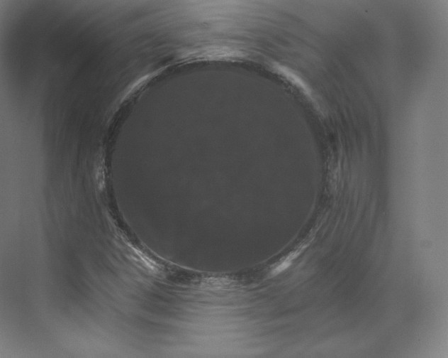 X0000074001306200609061013