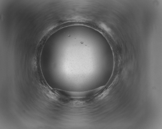 X0000074001307200609061013