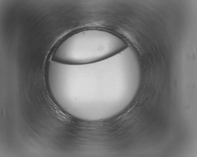 X0000074001308200609061013