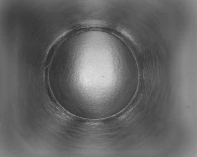 X0000074001309200609061013