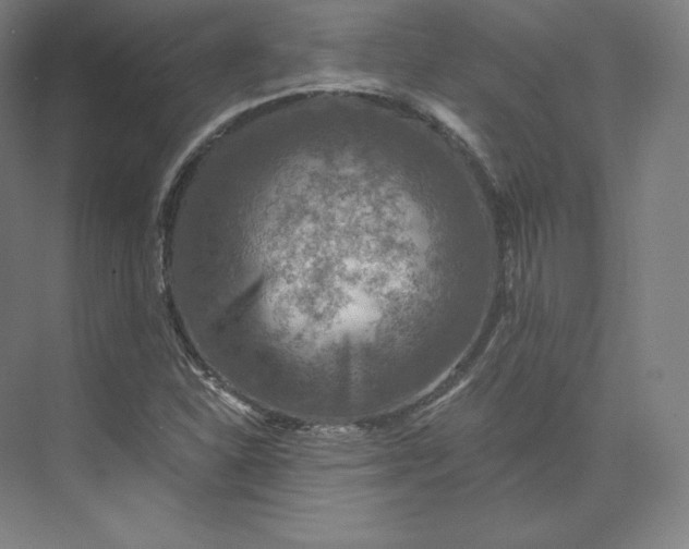 X0000074001310200609061013