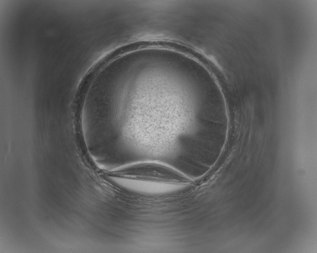 X0000074001311200609061013