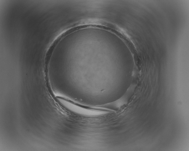 X0000074001312200609061013