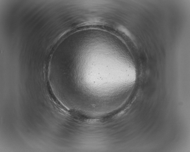 X0000074001313200609061013