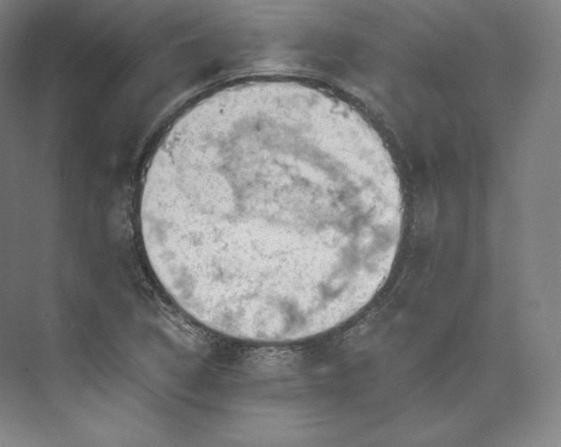 X0000074001314200609061013