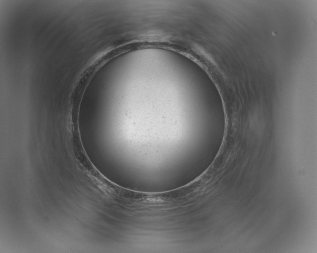 X0000074001315200609061013