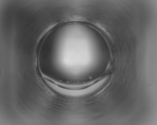 X0000074001317200609061013