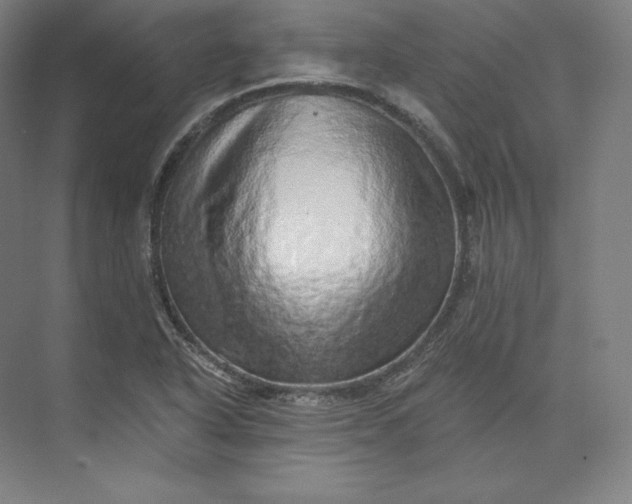 X0000074001318200609061013