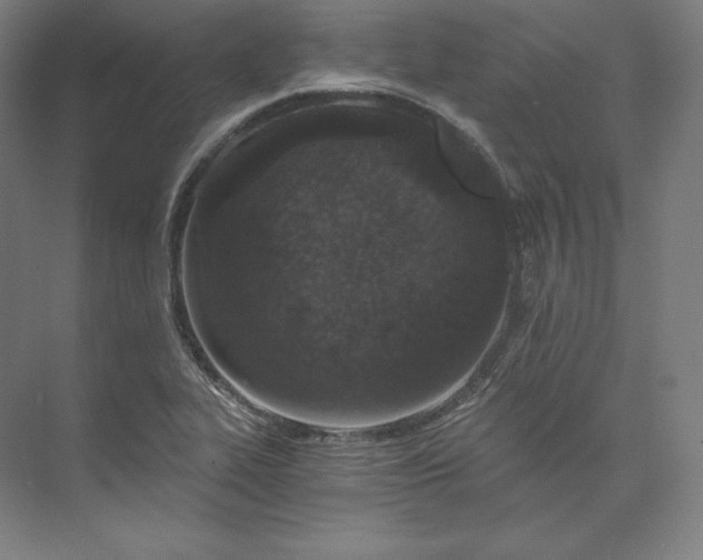 X0000074001319200609061013