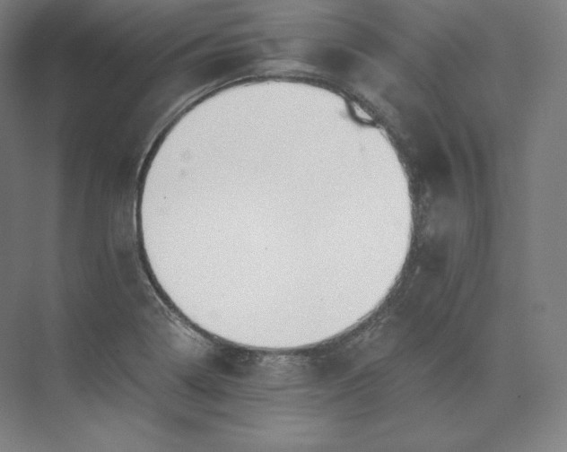 X0000074001322200609061013