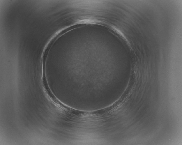 X0000074001323200609061013