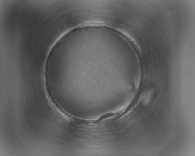 X0000074001325200609061013