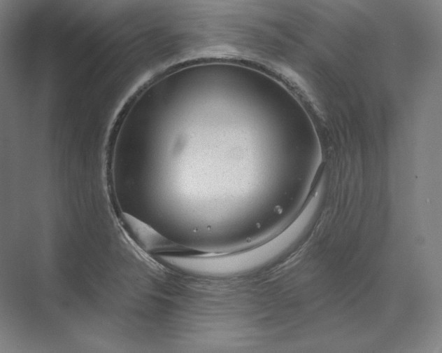 X0000074001326200609061013