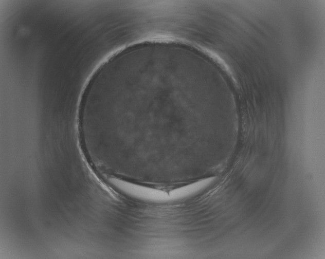 X0000074001327200609061013