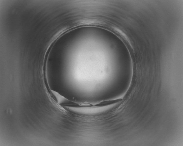 X0000074001330200609061013