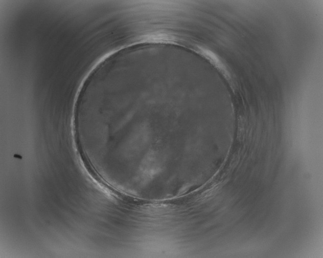 X0000074001331200609061013