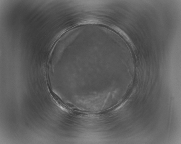 X0000074001337200609061014