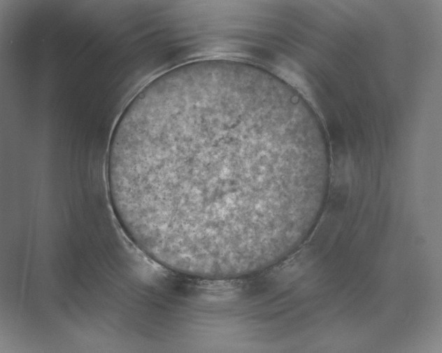 X0000074001338200609061014